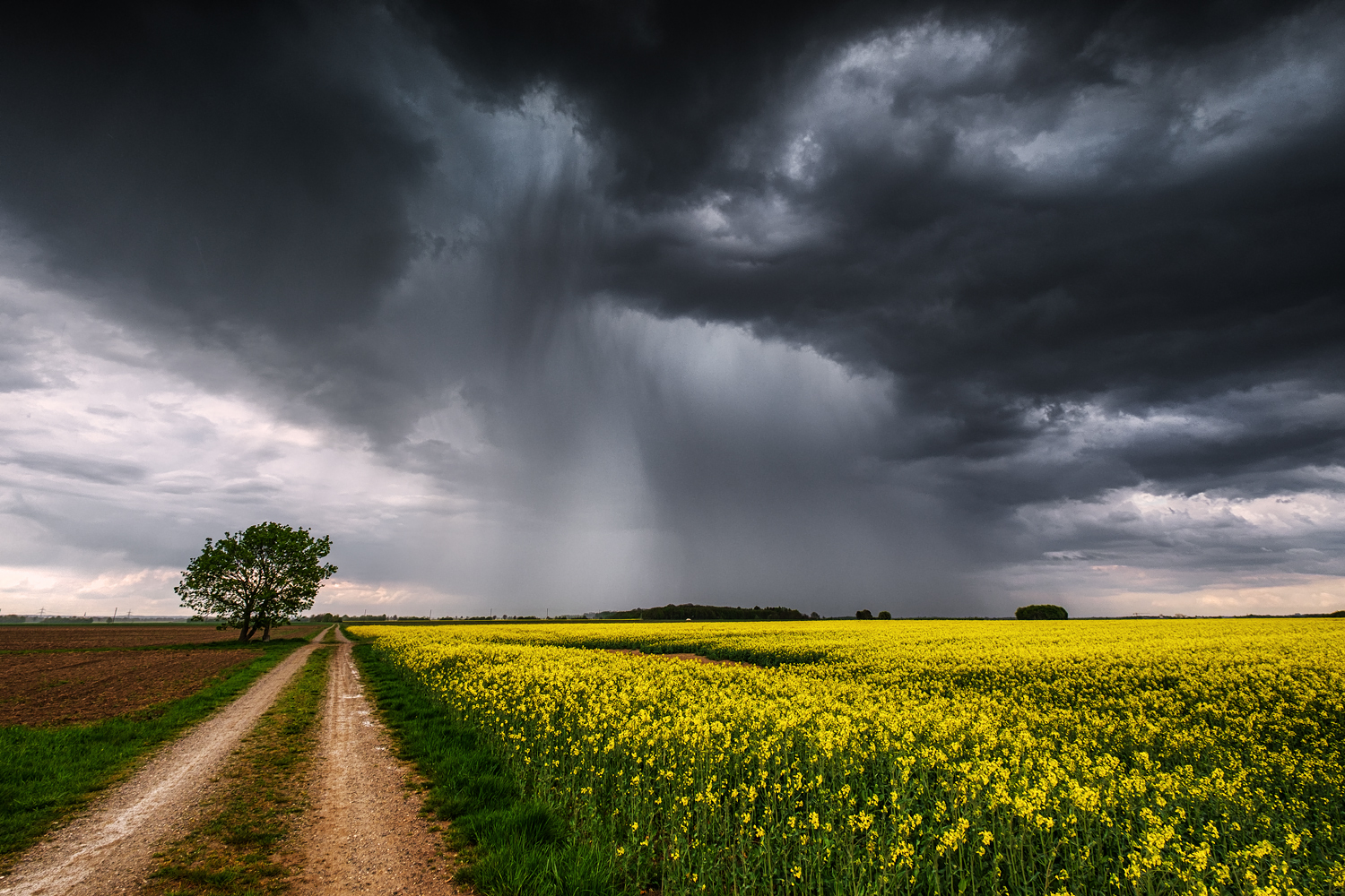 ja, donnerwetter