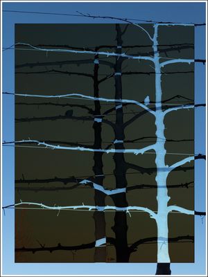 Ja du bist‘s……