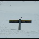 Ja es gibt auch Schnee in Neuseeland!!!