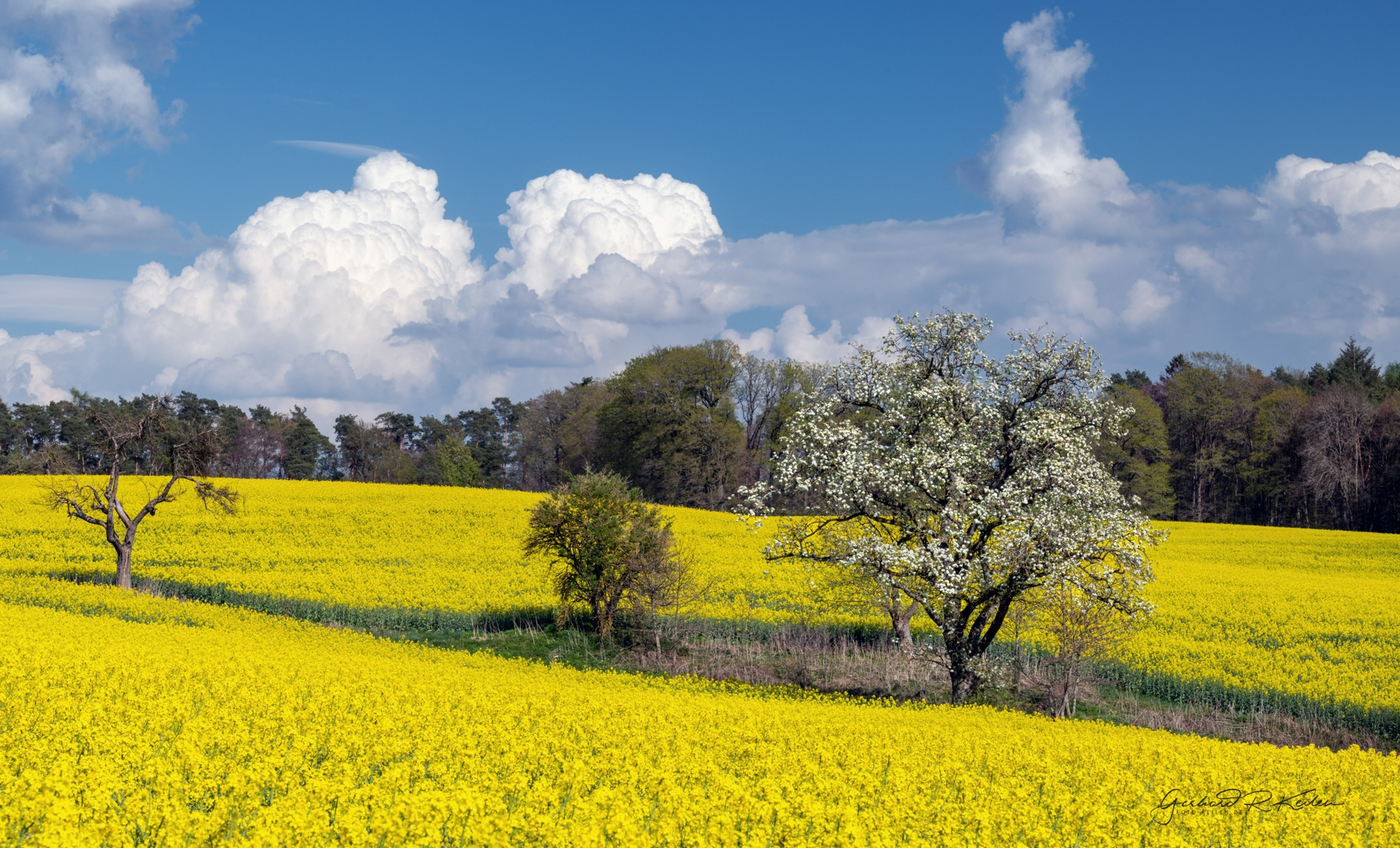 Ja es ist Frühling