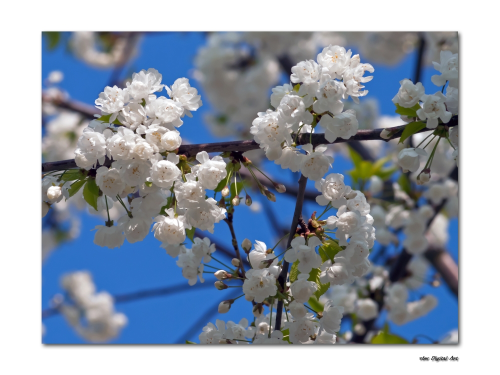 Ja, es ist Frühling