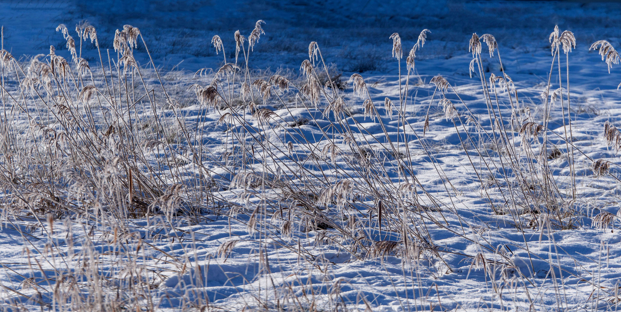 Ja, es ist Winter!