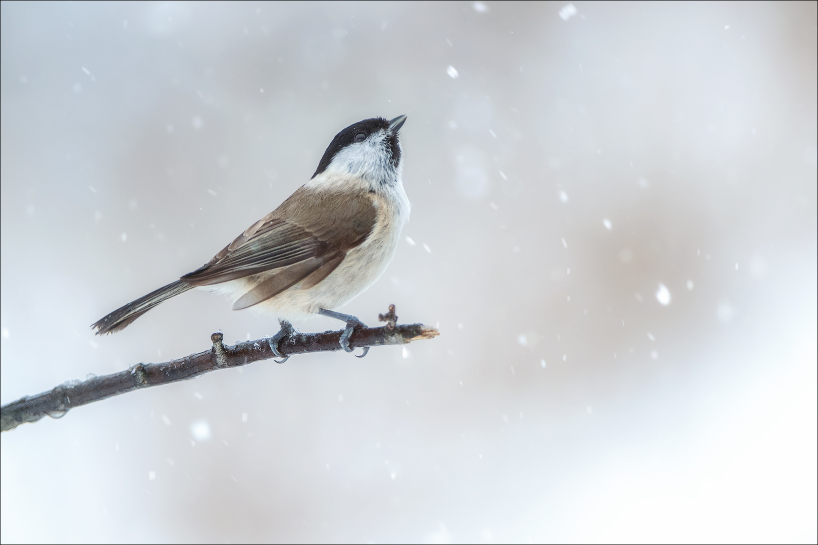 Ja es schneit heftig :-)