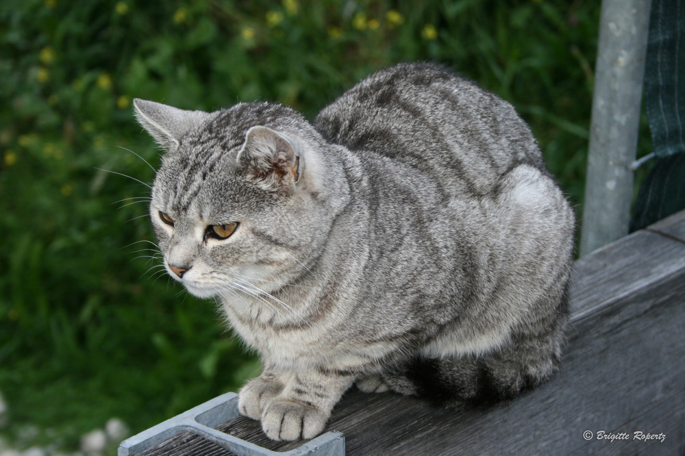 Ja, ich sitze bequem!