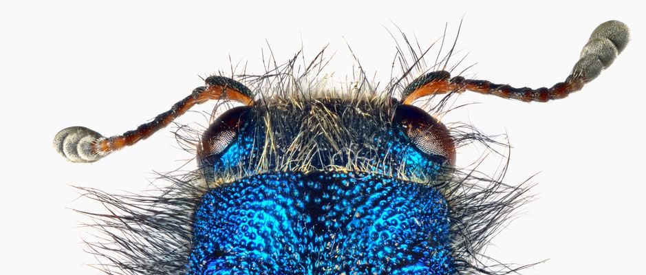 Ja, ich weiß, dass ich dringend zum Friseur sollte …