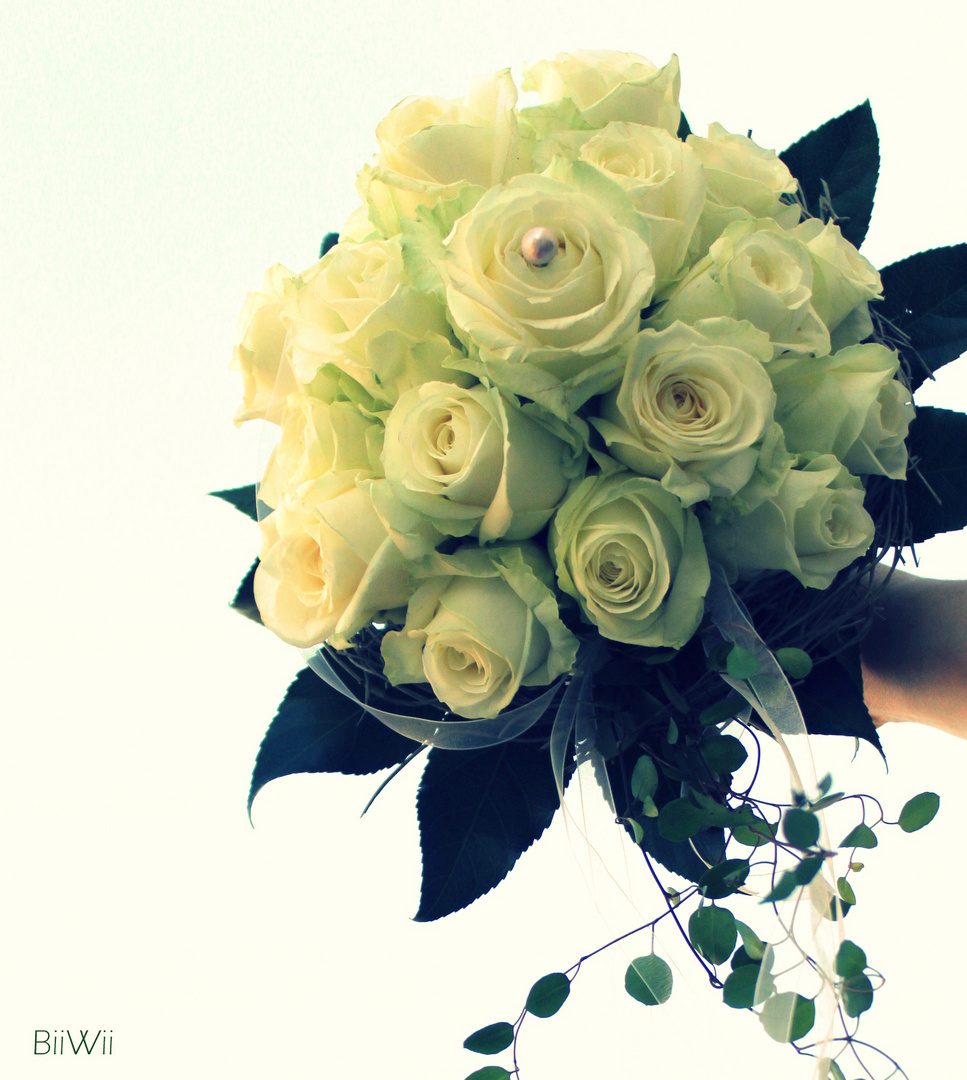 Ja Ich Will Foto Bild Hochzeit Collagen Sonne Bilder Auf Fotocommunity