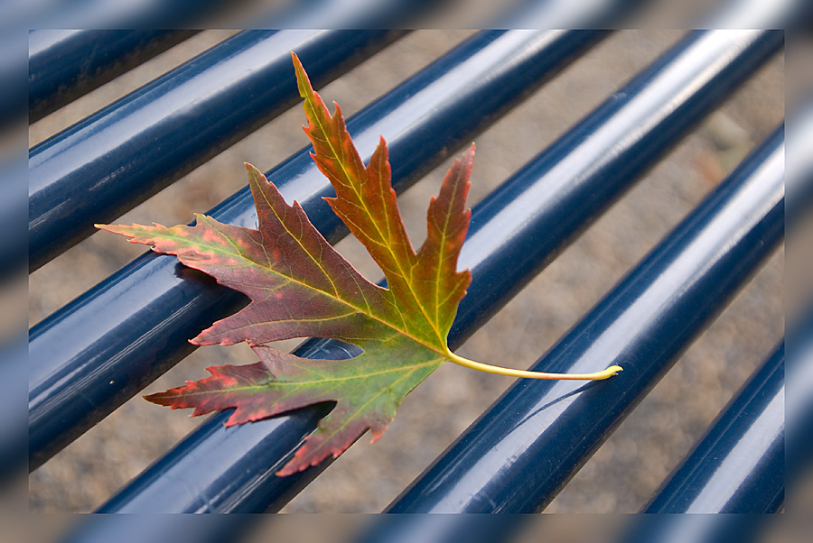 Ja is denn schoa Herbst?