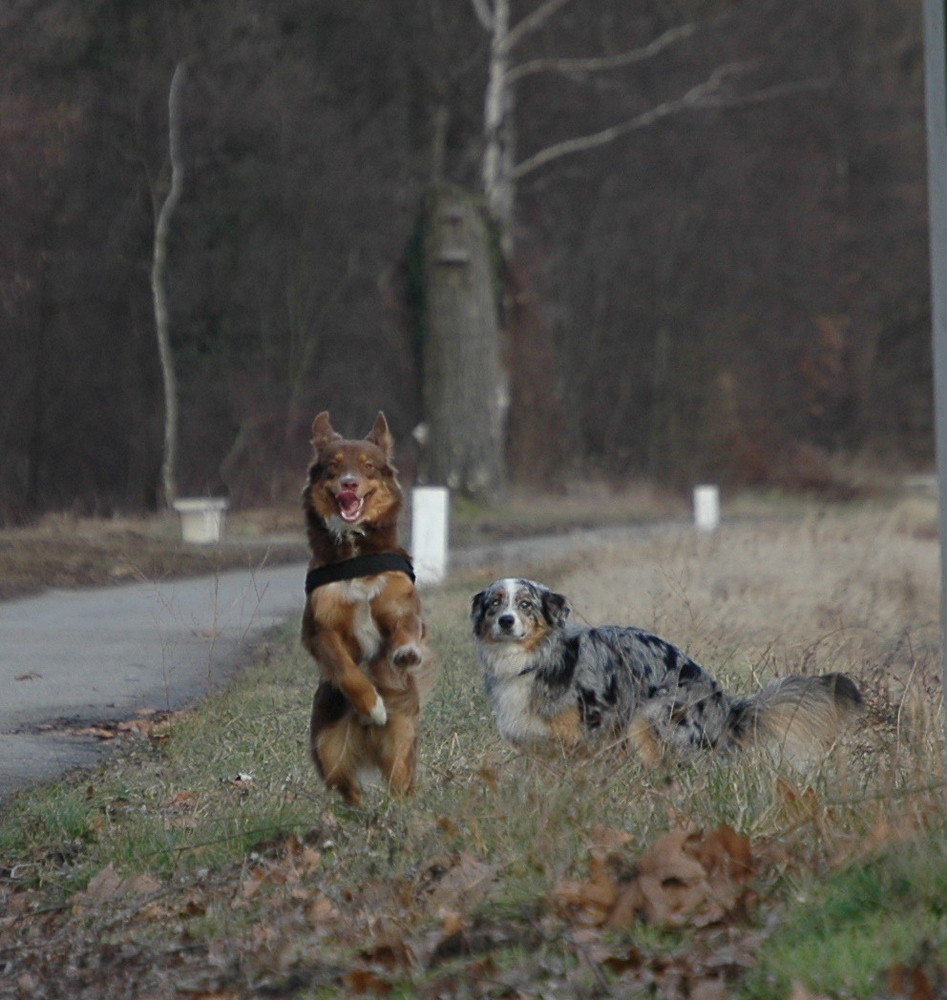 ja is denn schon Ostern?