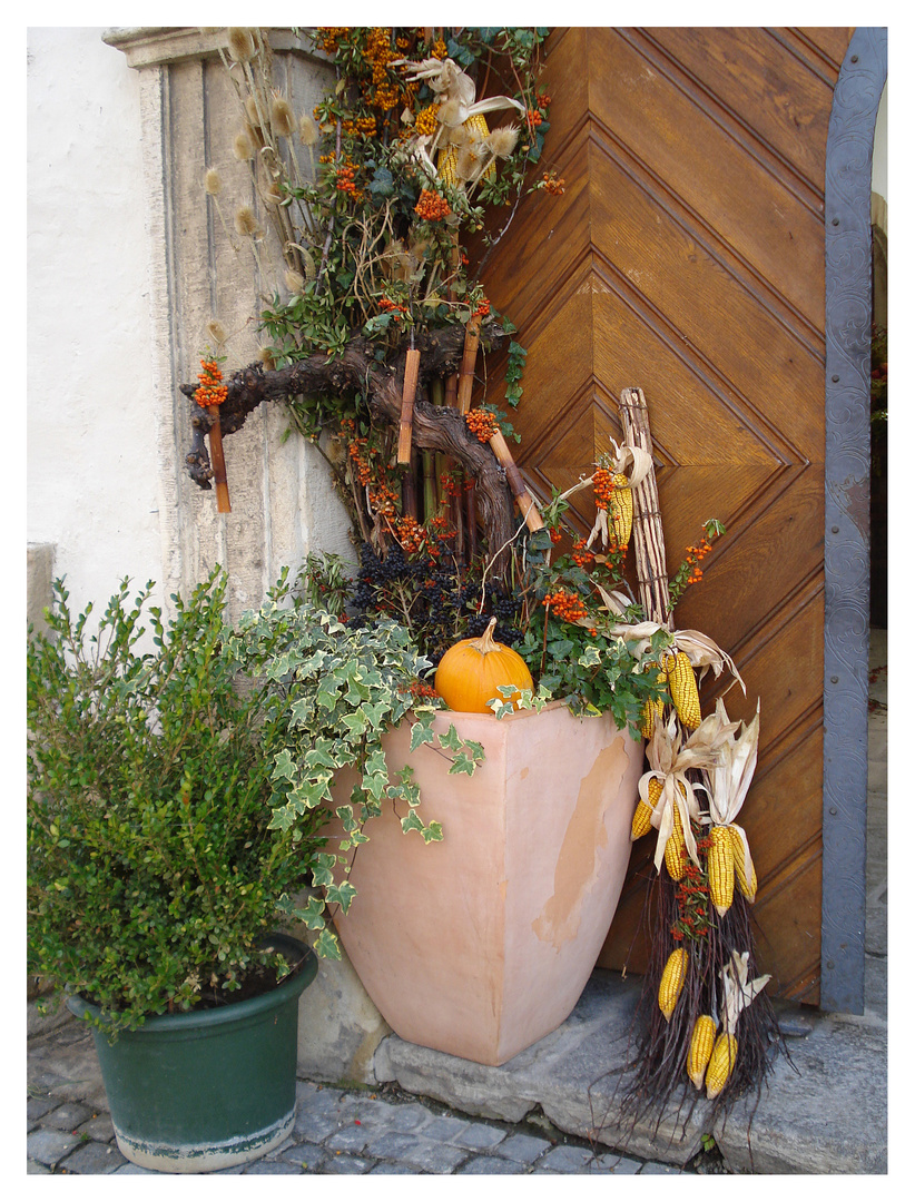 Ja ist es wieder schon so weit??? nun der herbst bringt uns schöne motive