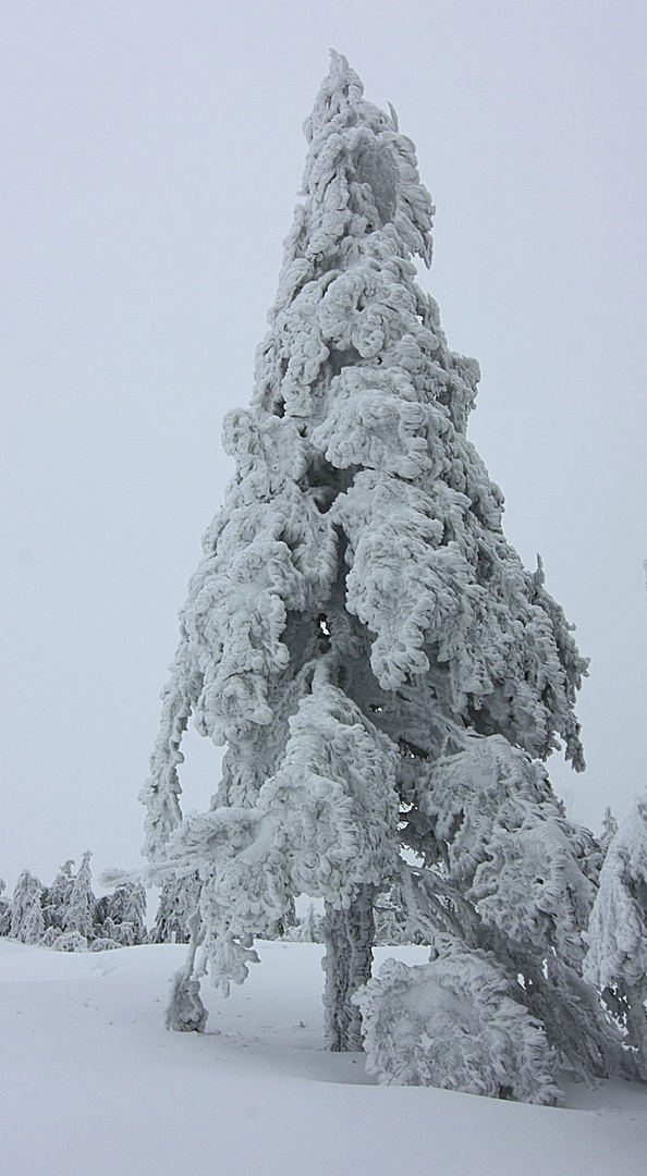 Ja ja der alte Winter...