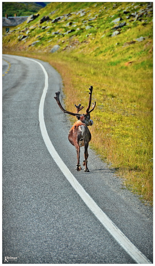 Ja ja, die norwegischen Radfahrer