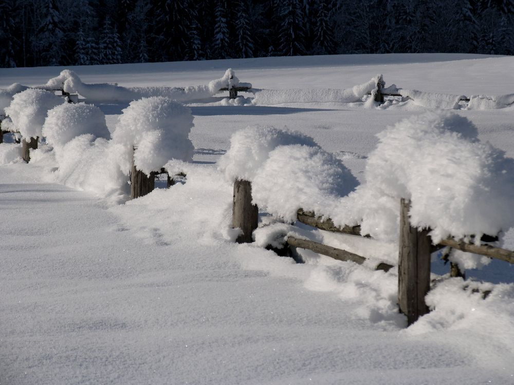 Ja, Jetzt gehts ans Holz