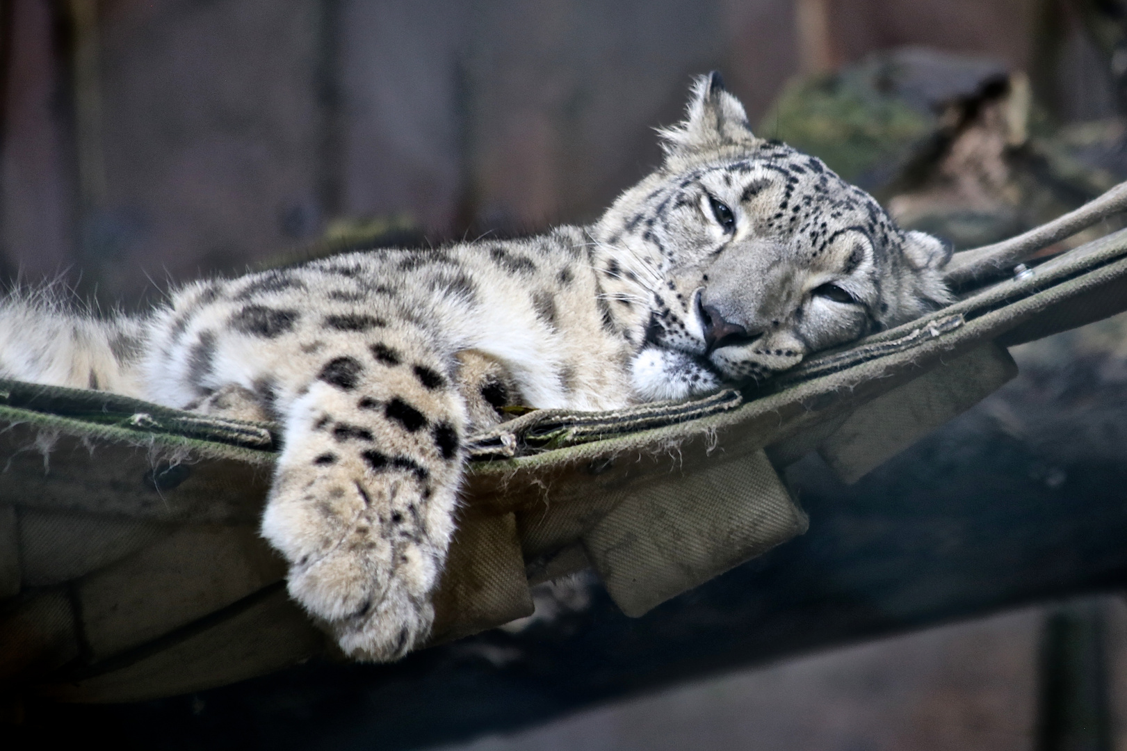 Ja nicht sauer sein brauche mein ruhe :-)) Wuppertaler Zoo