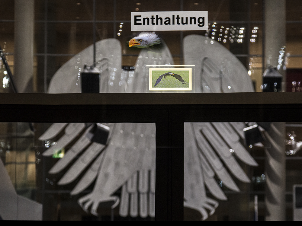 Ja oder nein? Der Bundesadler kann sich nicht entscheiden