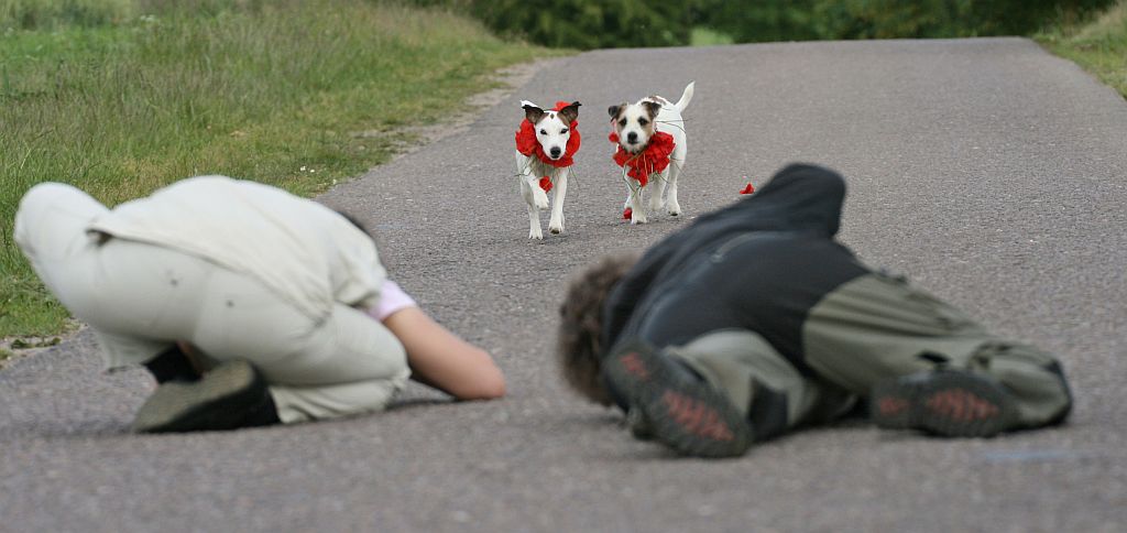 ja... soo sind sie, die fotoverrückten Frauen... sie geben alles