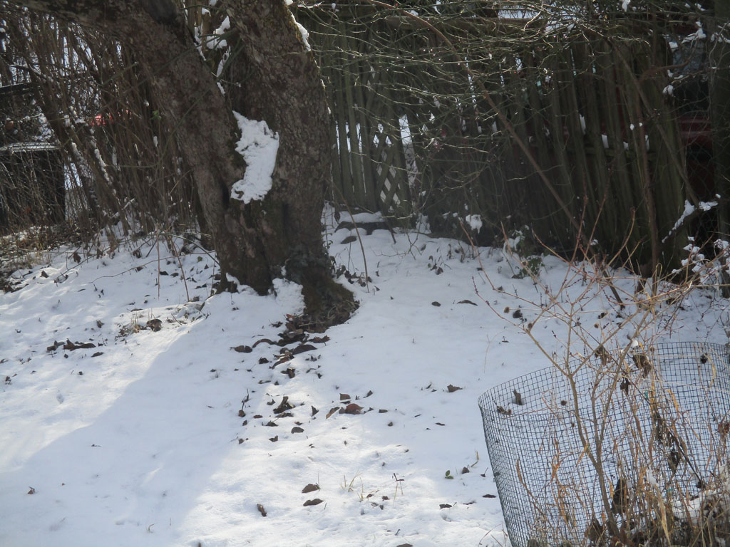 Ja wer klettert denn da auf den Apfelbaum hoch 