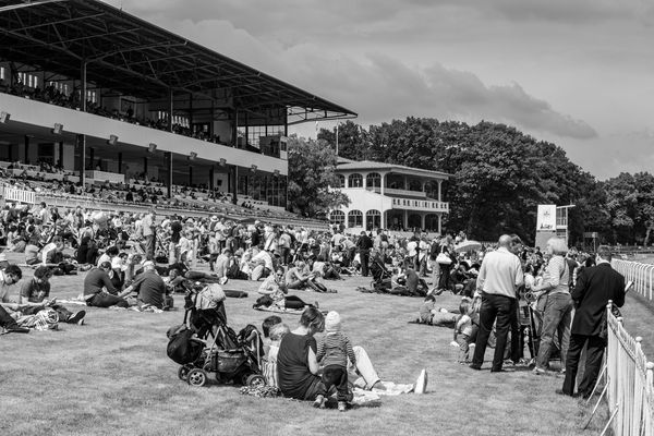 Ja, wo laufen sie denn, ...