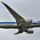 JA805A - All Nippon Airways - ANA - Boeing 787-8 - Dreamliner