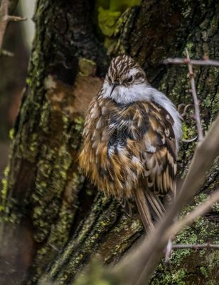 "Jaaa ..... was gibt's"?