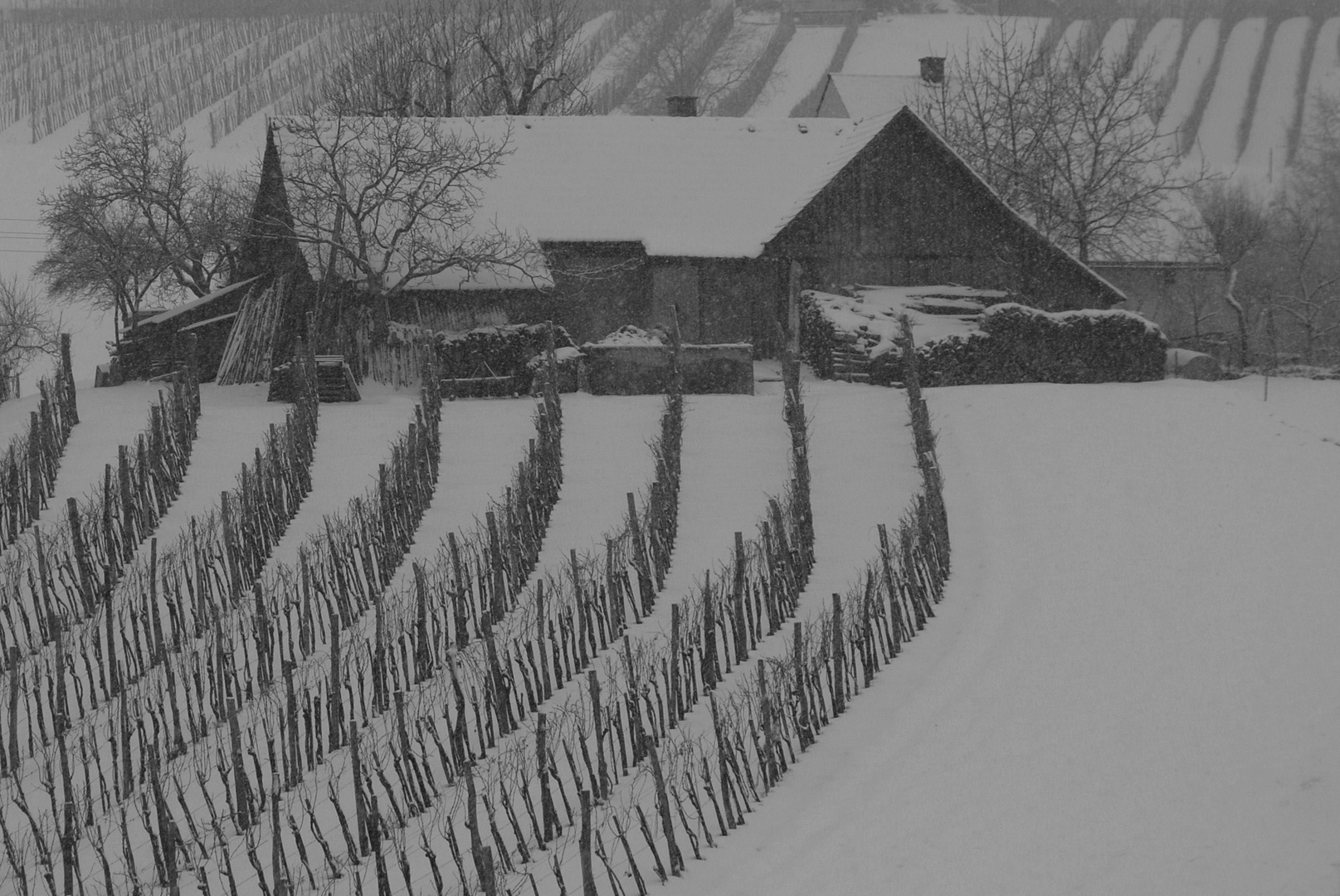 Jaaaa, es schneit !  Wünsche ein schönes WE !