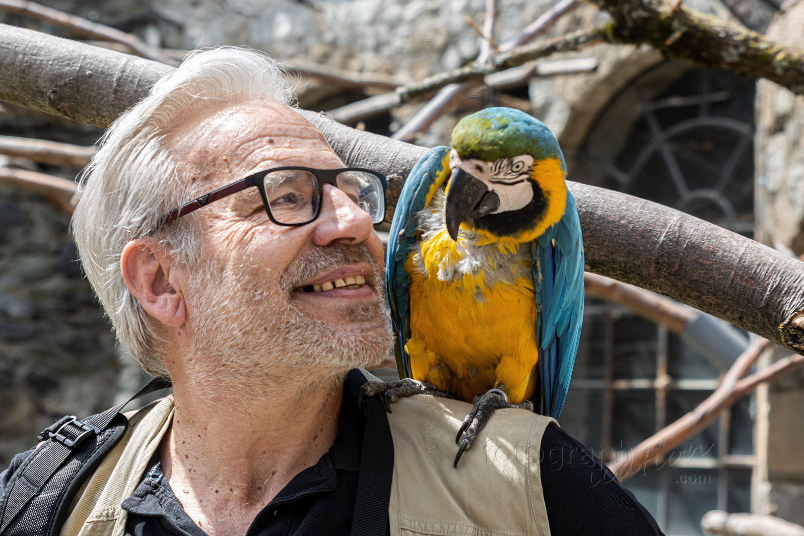 jaaaaa, ich hab' 'nen Vogel, manchmal!