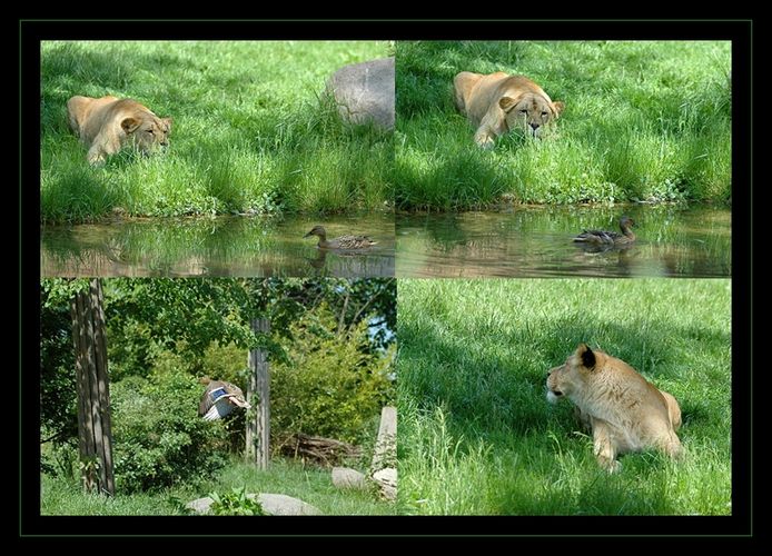 Jaaaaaaaaaaa - sie lebt noch, sie lebt noch, sie lebt noch, stirbt nicht ;-)))