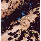 Jaboticaba