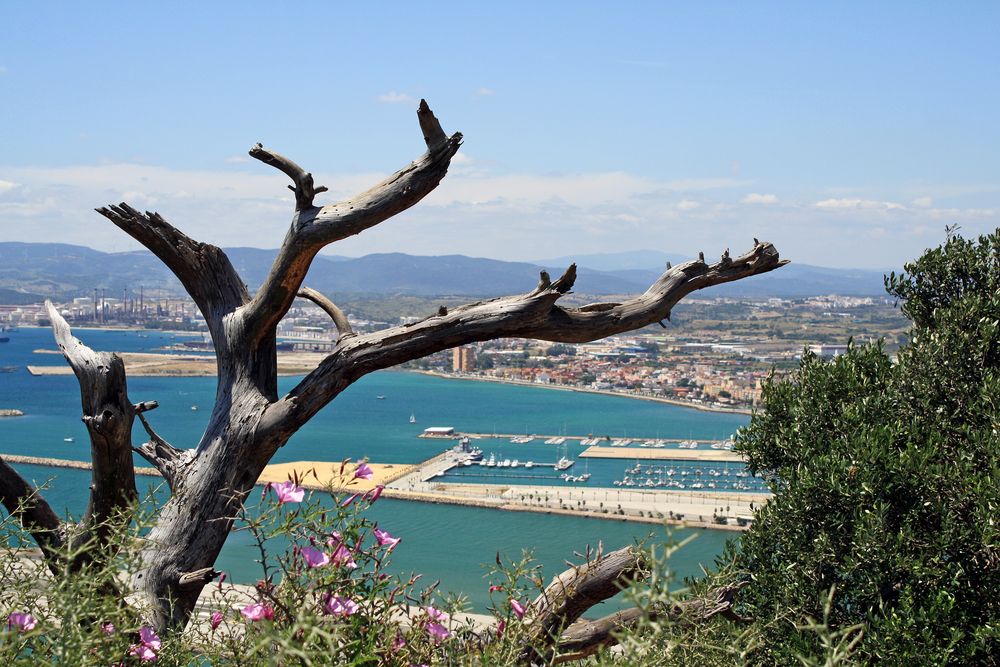 Jachthafen von Gibraltar von Lautertaler 