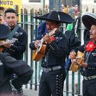 Jacinto Vega & Águilas de Tijuana