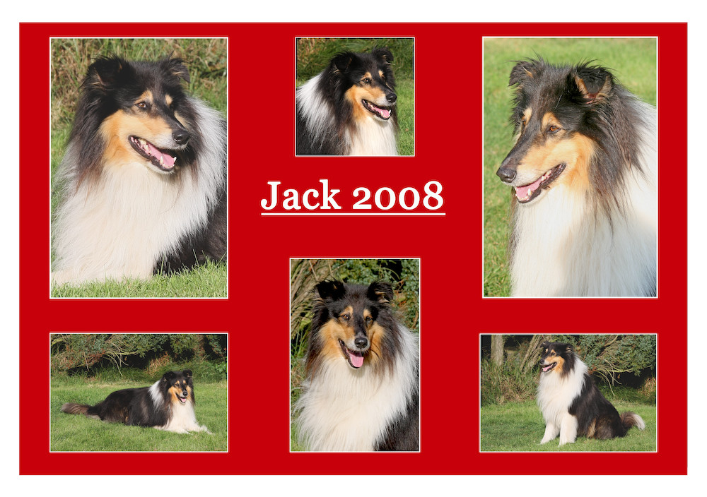 JACK 2