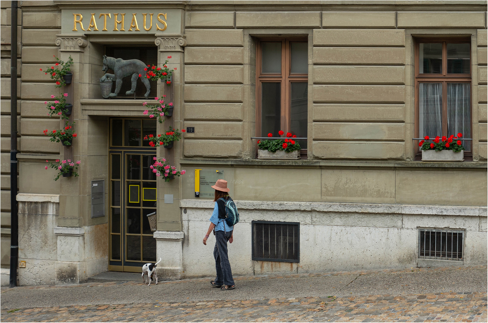 Jack Russel sucht Rat beim Bären