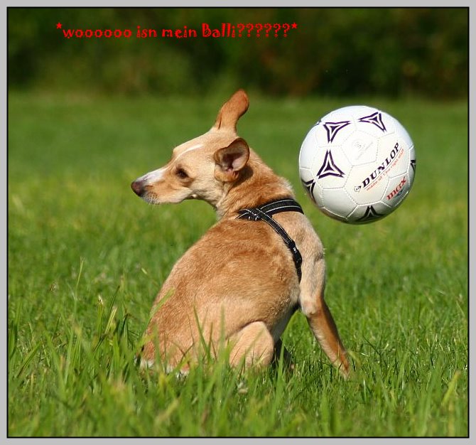 Jack und der Ball