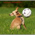 Jack und der Ball