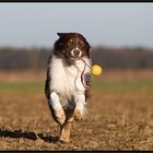 Jack und sein Schleuderball / 2