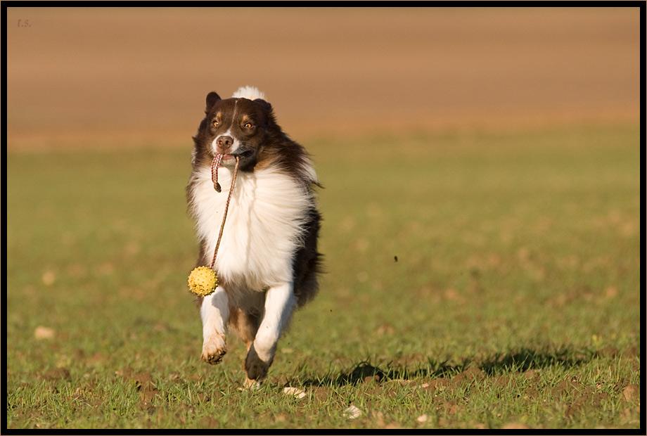 Jack und sein Schleuderball / 3