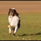 Jack und sein Schleuderball / 3