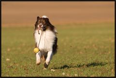 Jack und sein Schleuderball / 3