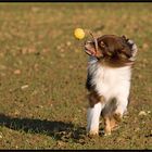 Jack und sein Schleuderball / 4