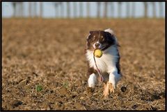 Jack und sein Schleuderball / 7