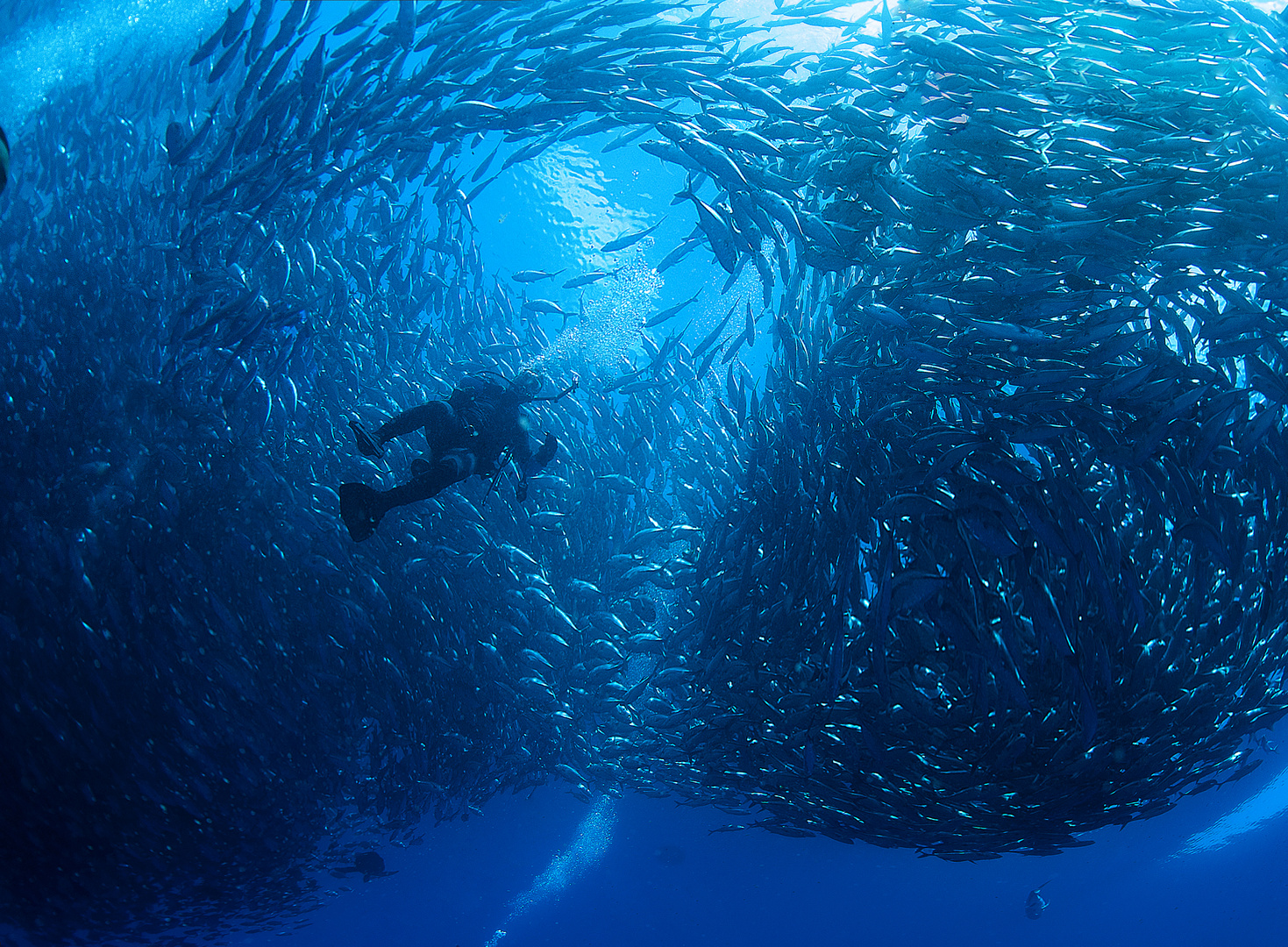 Jackfish storm