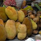 Jackfruit