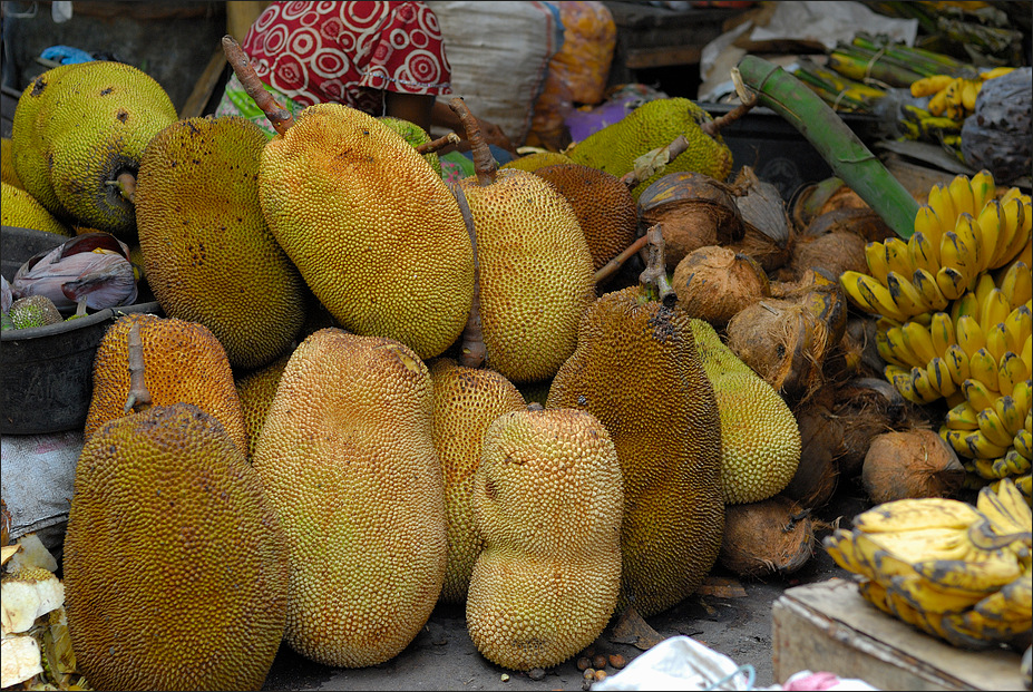 Jackfruit