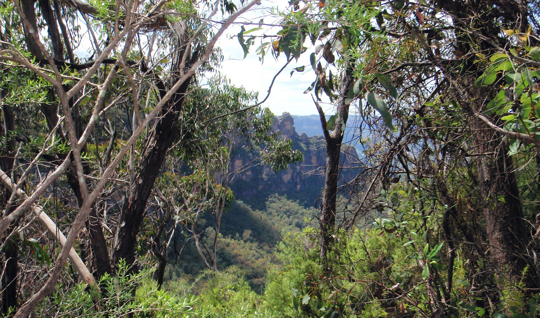 Jackie19 2008 Blue Mountains 1