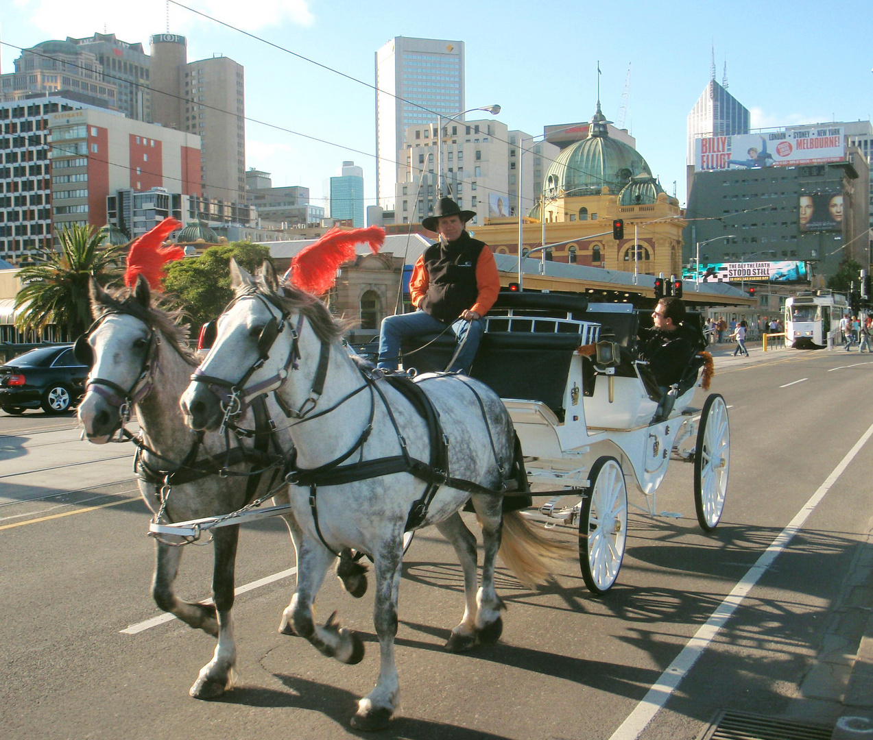 Jackie19 2008 Melbourne 4