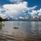 Jackson Lake mit Grand Teton Bergkette