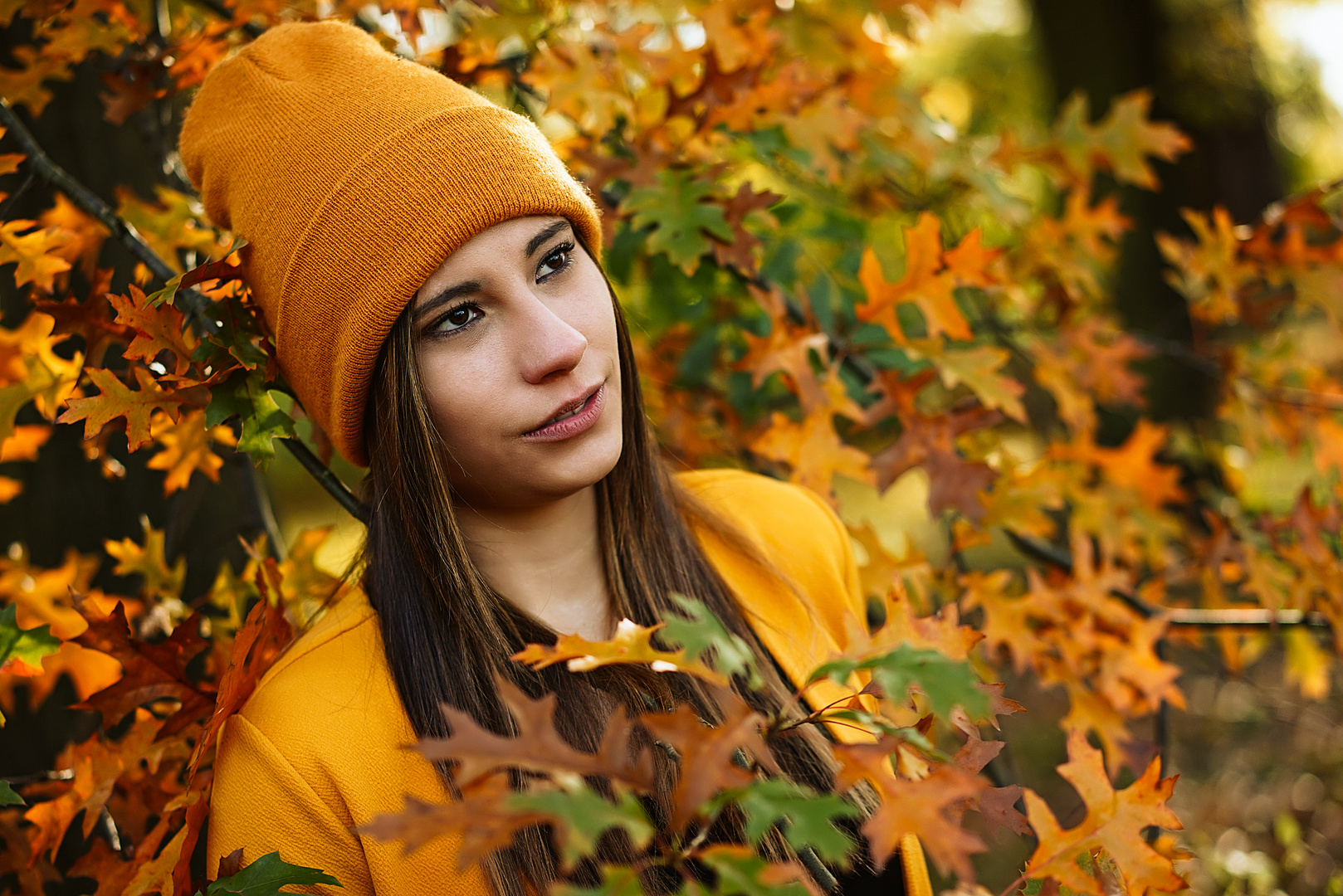 Jaclin im Herbstwald