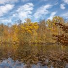 Jacobiweiher Frankfurt - Herbstimmung