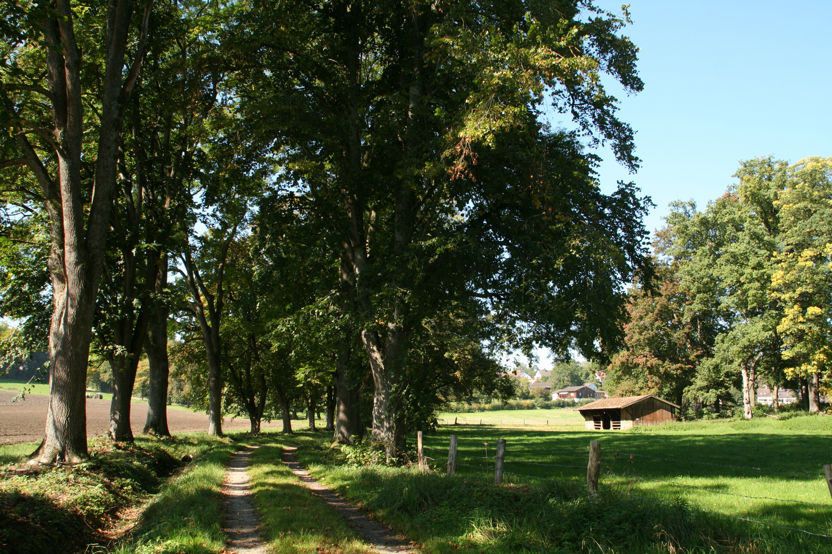 Jacobsgasse