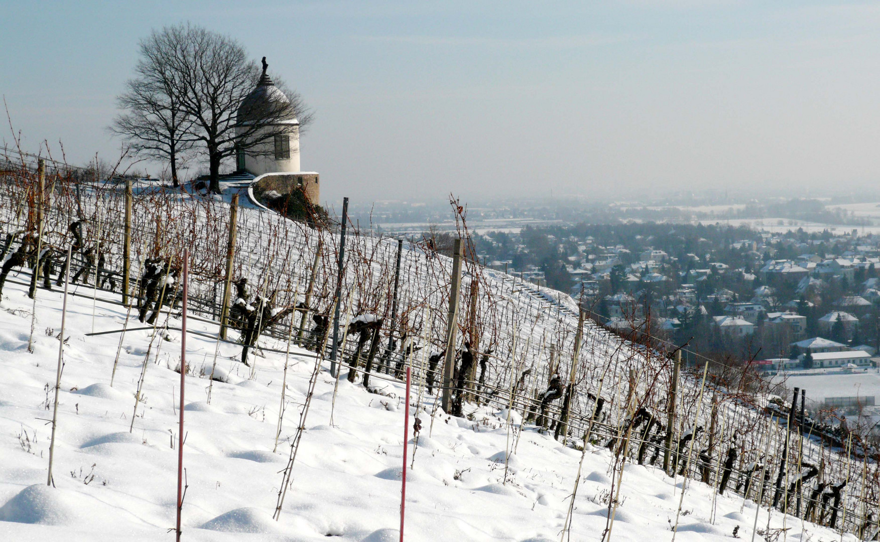 Jacobstein auf den Radebeuler Weinbergen mit Blick ins Elbtal