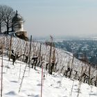 Jacobstein auf den Radebeuler Weinbergen mit Blick ins Elbtal